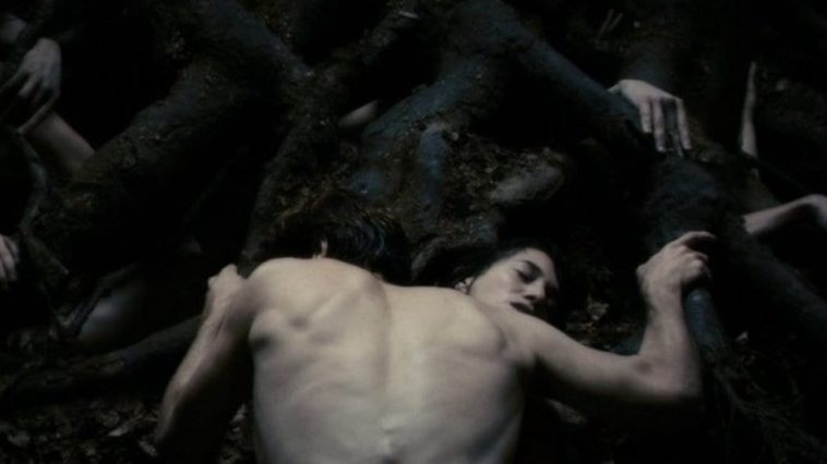 Movie cover for Antichrist, Lars von Trier. A man and woman have sex underneath tree with multiple human arms protruding from tree.
