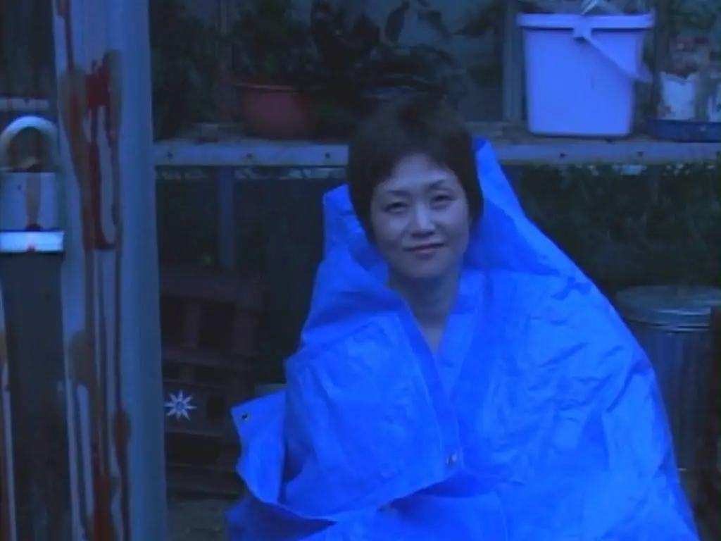 Shungiku Uchida as The Mother in The Visitor Q