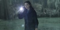 Dr Abby Arcane (Crystal Reed) searches the swamps for Alec Holland (Andy Bean).