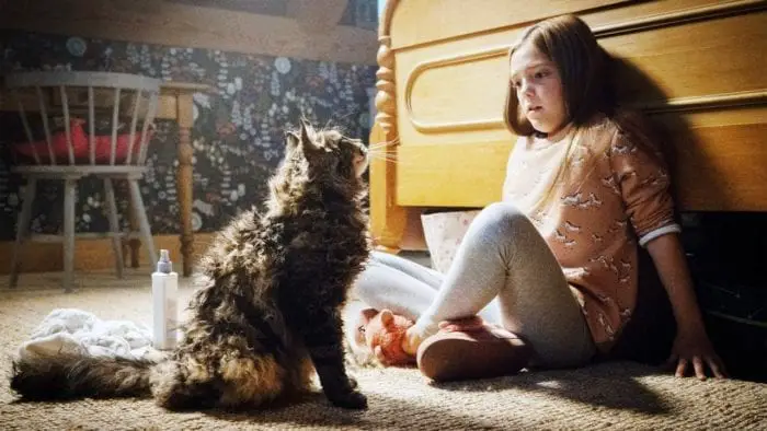 girl and cat sitting together on the floor