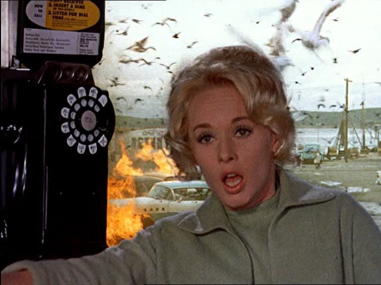 tippi hedren in a phone booth being attacked by birds