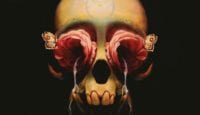 A book cover with the depiction of a skull with red roses in the eye sockets pouring with water