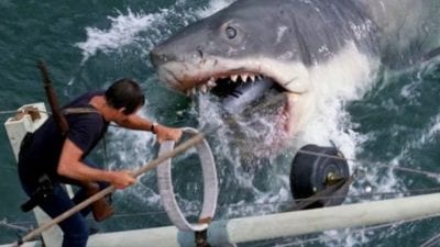 a massive great white shark attacks a man on a fishing boat