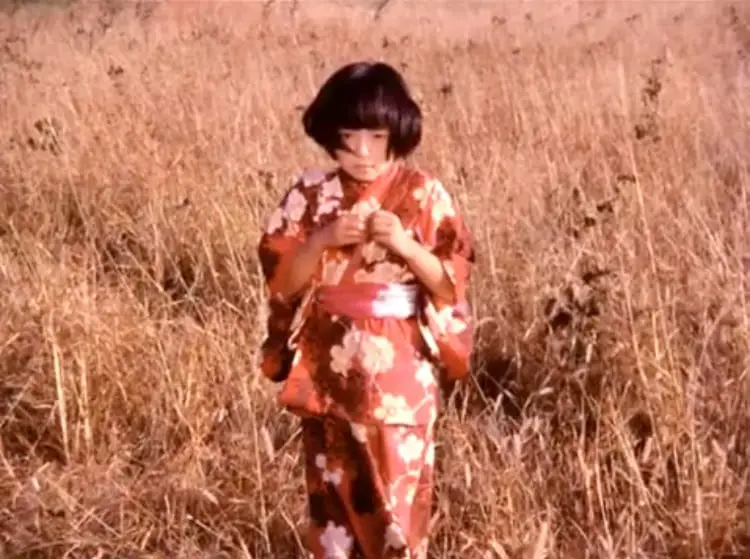 Young Japanese boy in a field