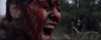 A woman's face is close up. She's in a field her face is strained, screaming as hard as she can. She's covered in blood and paint.