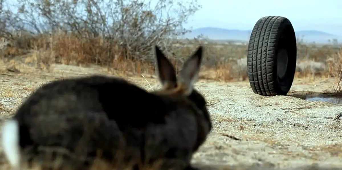 A rubber tire vs. a startled hare