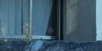 A creepy face stares out a window
