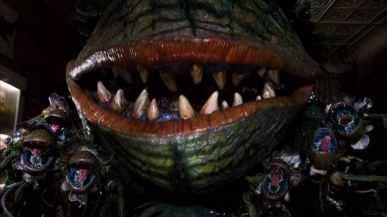 Carnivorous plant Audrey II (Levi Stubbs) and a series of carnivorous plant buds sing in the film, "Little Shop of Horrors" (1986).