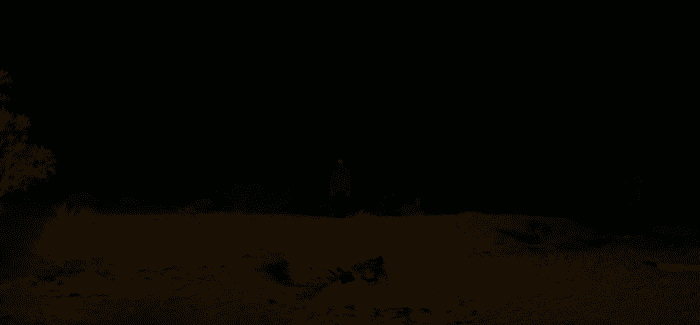 a desert landscape at night .a human figure with glowing eyes is just barely visible in the distance.