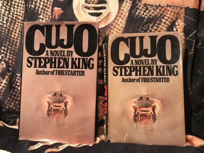 Nope Nothing Wrong Here A Look At Stephen King S Cujo