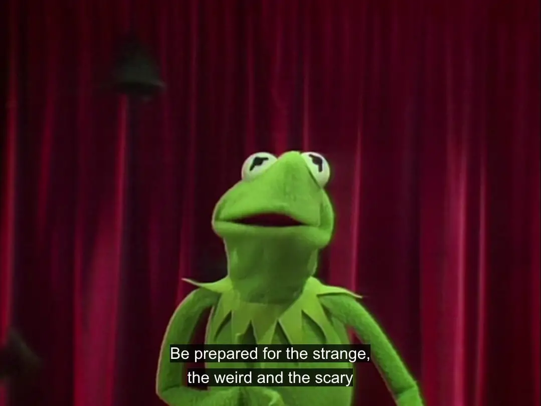 Kermit the Frog, with bats flying behind him, says, "Be prepared for the strange, the weird, and the scary," in the TV show, "The Muppet Show."