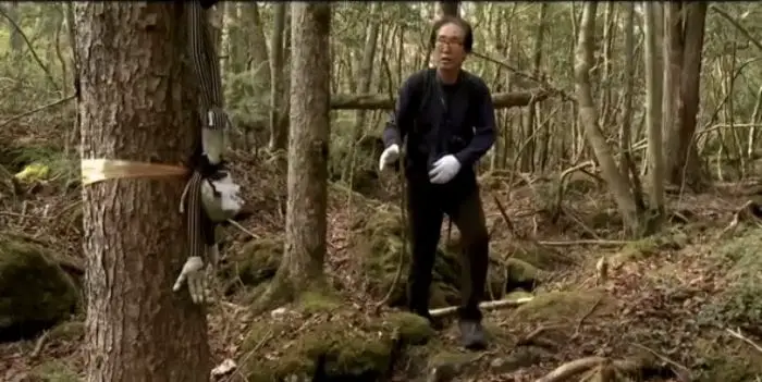 8 Fakta Hutan Aokigahara, Tempat Wisata Yang Indah dan Angker 