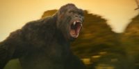Kong roaring