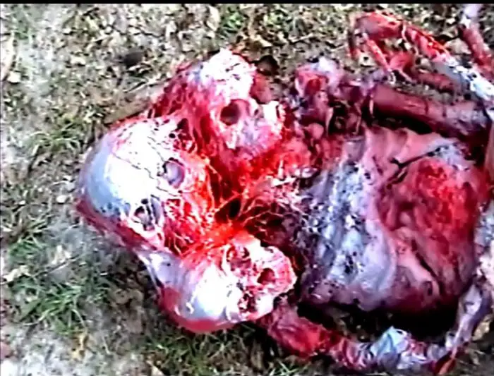 A decomposing corpse with three skulls