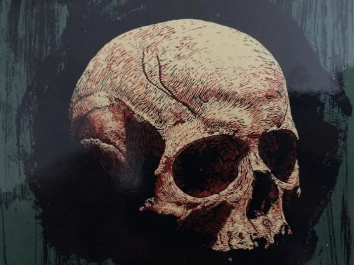 Cover for Succulent Prey features a close up of a human skull