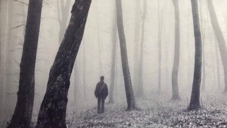 A lone figure stands in a misty forest with bent trees