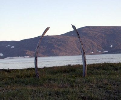 whale bones sticking vertically out of the ground.