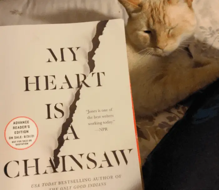 my heart is a chainsaw book 2