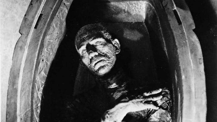 The mummy in his coffin