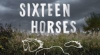 the cover for Greg Buchanan's novel Sixteen Horses, fearing a field on a stormy day. an outline of a horse is overlaid