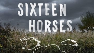 the cover for Greg Buchanan's novel Sixteen Horses, fearing a field on a stormy day. an outline of a horse is overlaid