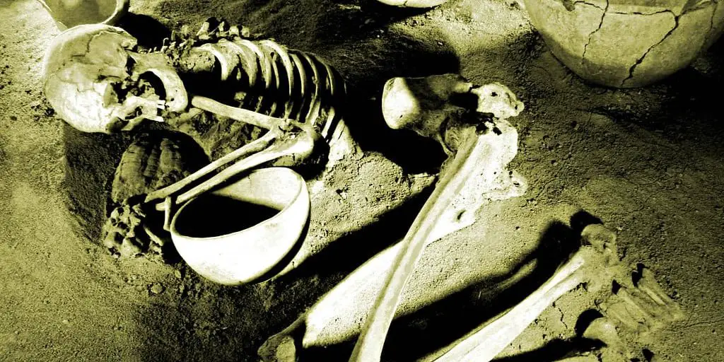 A skeleton lies curled up on a sandy ground.