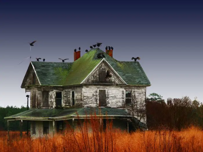 Crows perch atop a derelict farmhouse with a green roof in a rural area surrounded by an overgrown field.