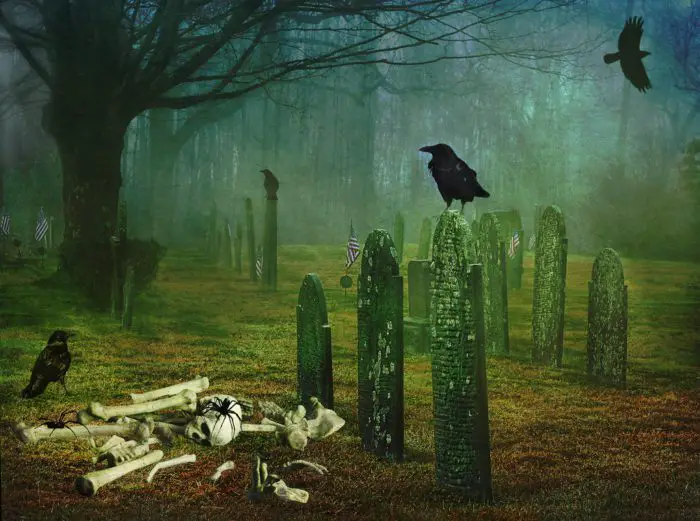 A painting of a misty scene in a graveyard. A crow is perched on a headstone. A pile of bones topped by a human skull lies on the ground.
