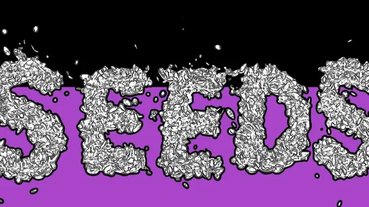 The words SEEDS is made up of small seeds and twigs, in front of a purple and black background