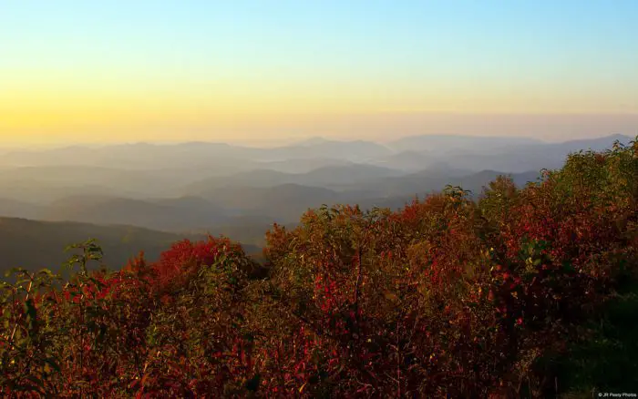 Mountain wilderness in western North Carolina.