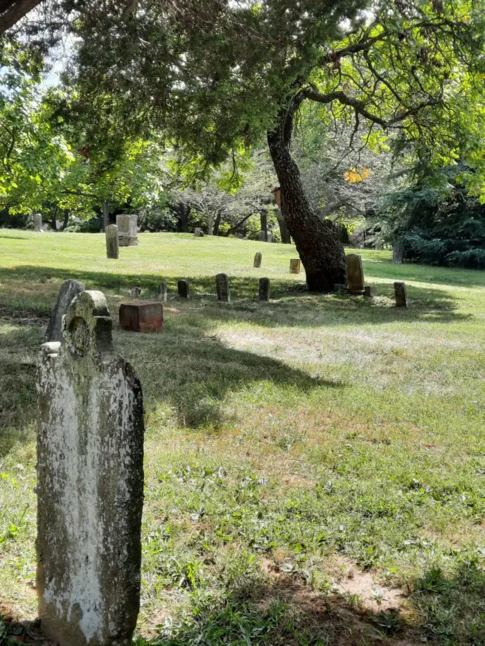 Old graveyard: Very old plain tombstone in the foreground with a gnarled tree and smaller headstones in the distance.