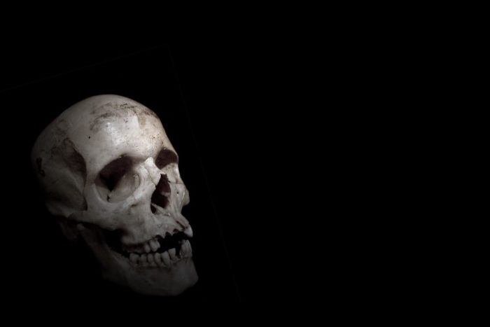 A skull sitting in the dark
