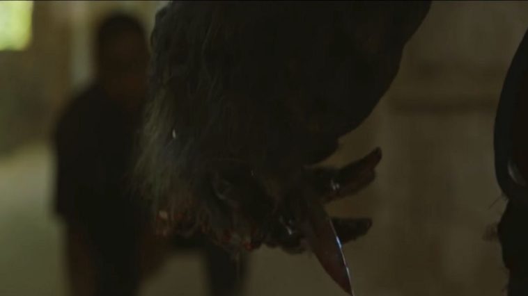 A large, gray-furred monster's hand is in focus on the screen against a dim, yellow-toned location and a man kneeling in front of the beast. Its long claws are splattered with blood.