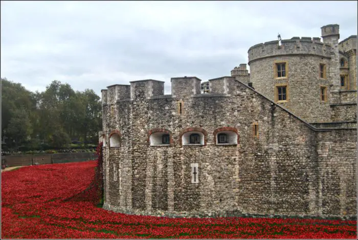 Tower of London surrounded by red poppies.
