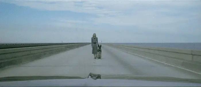 In the center of the frame, in long shot, a woman standing next to a dog in the middle of a road; low, concrete walls are visible on the left and right, an expanse of water to the right, and across the entirety of the background, an expanse of blue sky; at the bottom of the frame in the immediate foreground is the hood of a car.