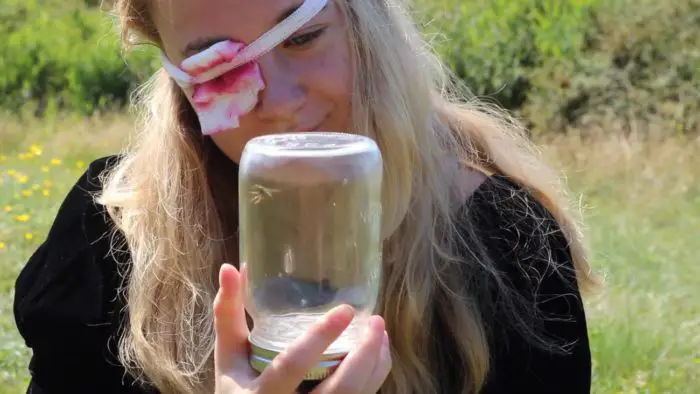 A girl wearing a bloody bandage over her eye holds a bee in an upside down jar in Honeycomb.
