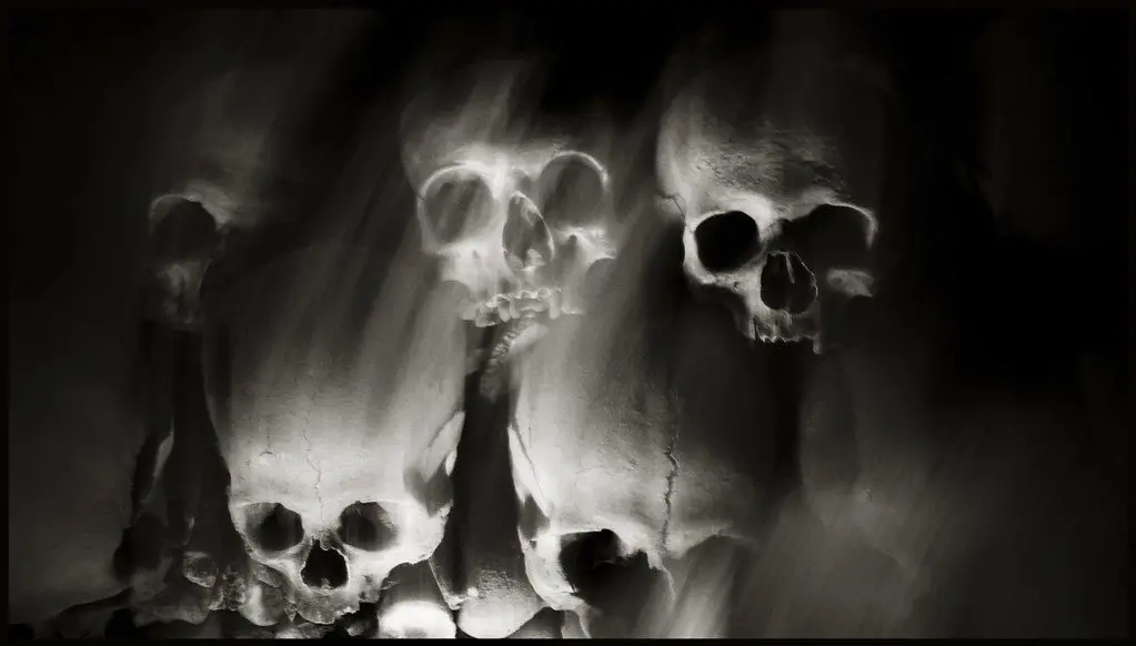A black and white photo of a few skulls staring straight ahead.