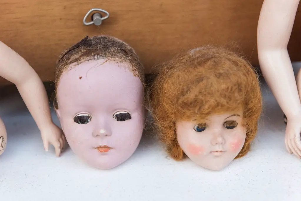 A photo of two dolls heads on a table staring straight ahead. The plastic doll torsos beside them on each side.
