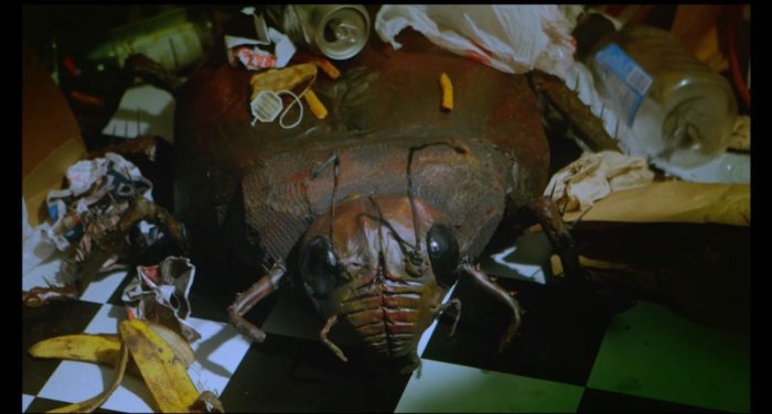 a giant cockroach sits amongst garbage and refuse
