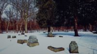 Eroded tombstones in a snow-covered cemetery surrounded by trees