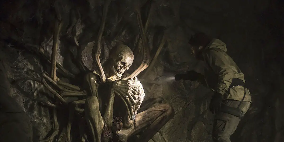 A man shines a flashlight on a bizarre, multi-limbed skeleton