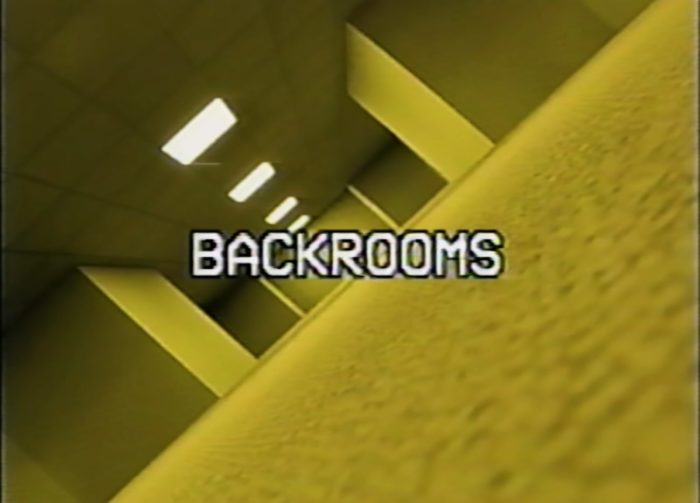 Stalker - Da Backrooms Wiki
