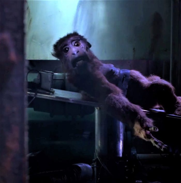 A tortured simian creature strapped to a metal table reaches out for help
