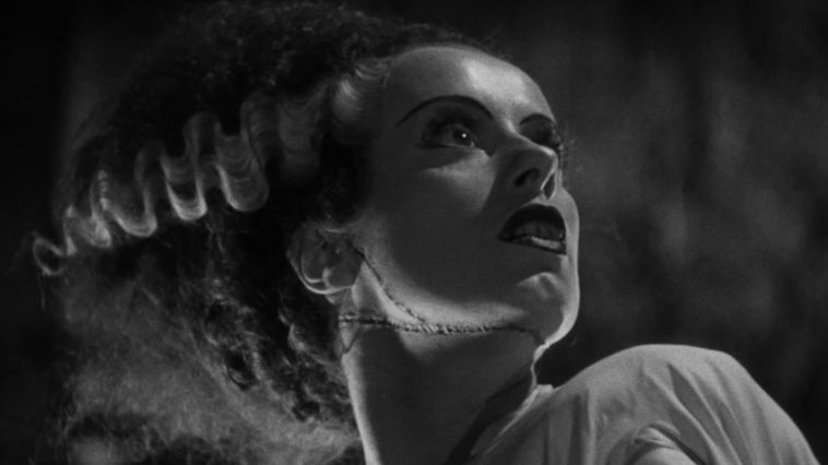 Close up view of the Bride of Frankenstein.