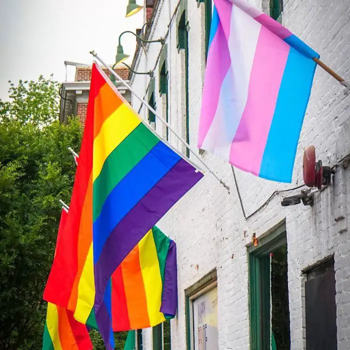 The transgender and LGBTQ+ flags are displayed outside of a buidling.