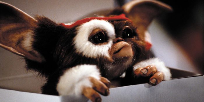 HBO Max 2022 Preview Video Includes Tiny First Look at Gremlins: Secrets  of the Mogwai [Video] - Bloody Disgusting