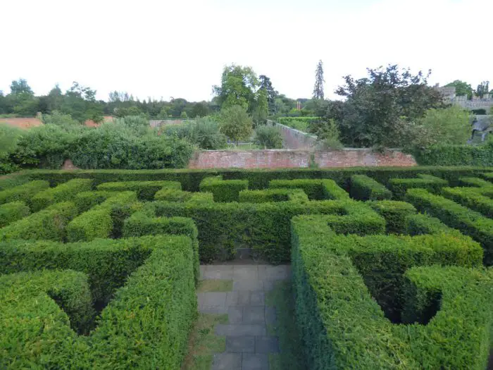 A garden maze made out of shrubs.