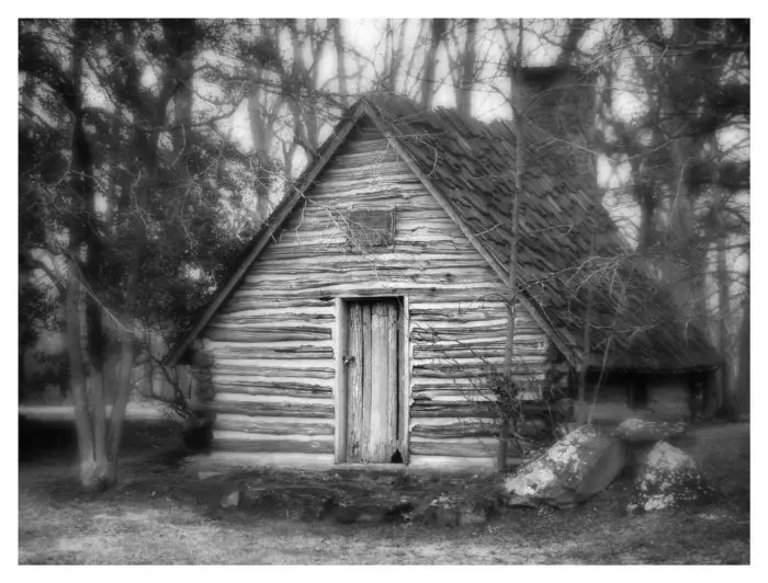 A cabin sits in the woods, nestled between dead trees