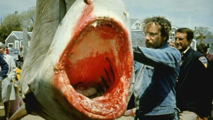 Hooper (Dreyfus) takes a look at a shark that was caught by Amity locals.