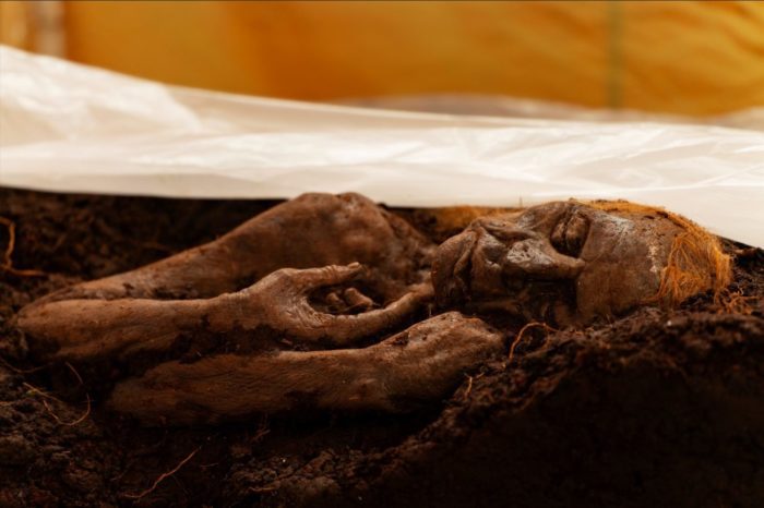 a preserved body lies in a block of dirt with a plastic sheet covering it in Moloch
